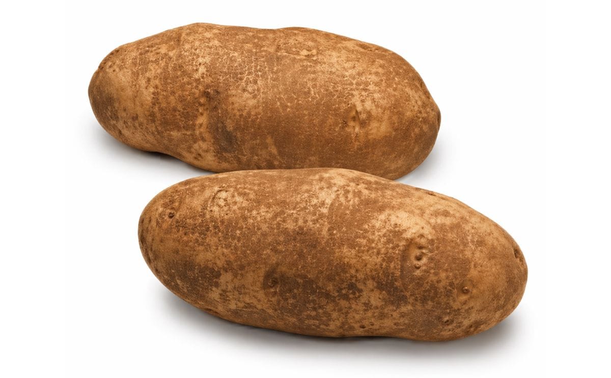 Large US Russet supply represents a challenge for growers