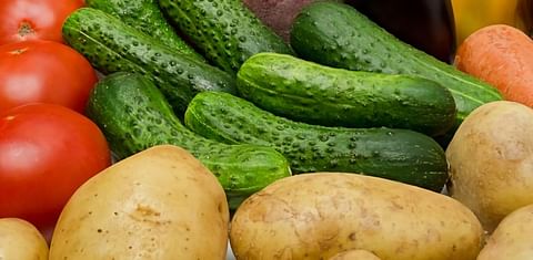 Russian retail may offer economy-class potatoes and cucumbers for sale