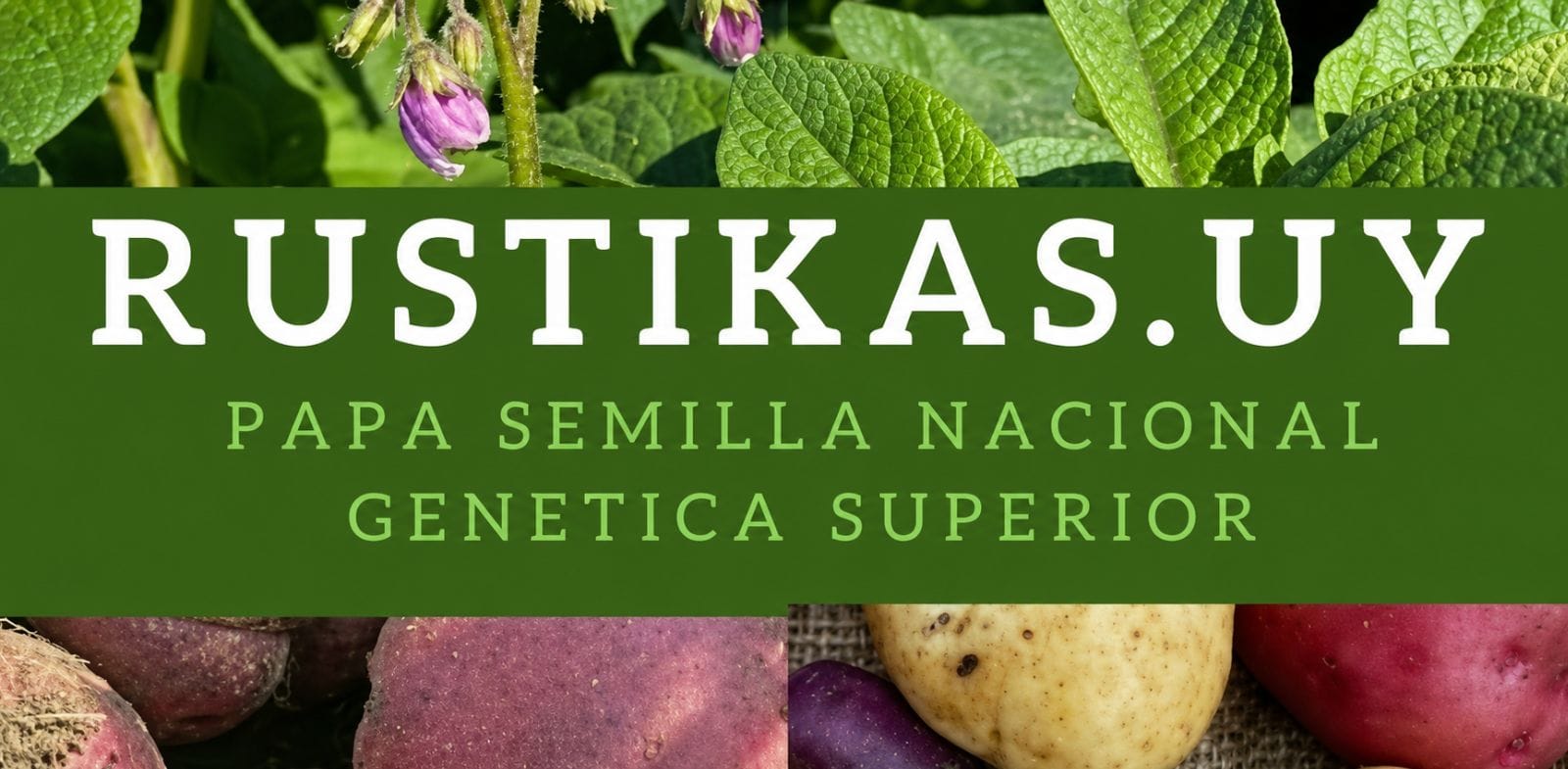 Rustikas.Uy