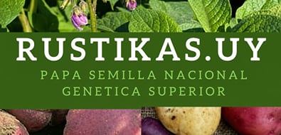 Rustikas.Uy Rustikas.Uy