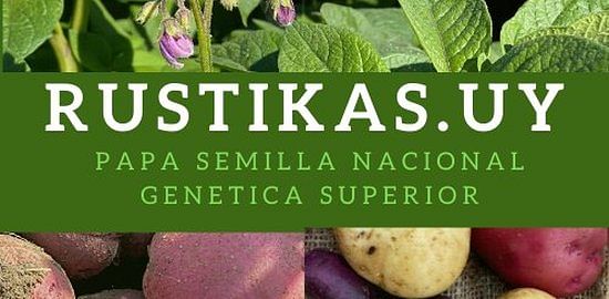 Rustikas.Uy