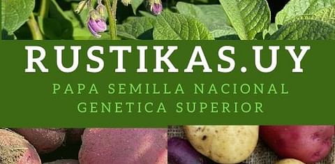 Rustikas.Uy Rustikas.Uy