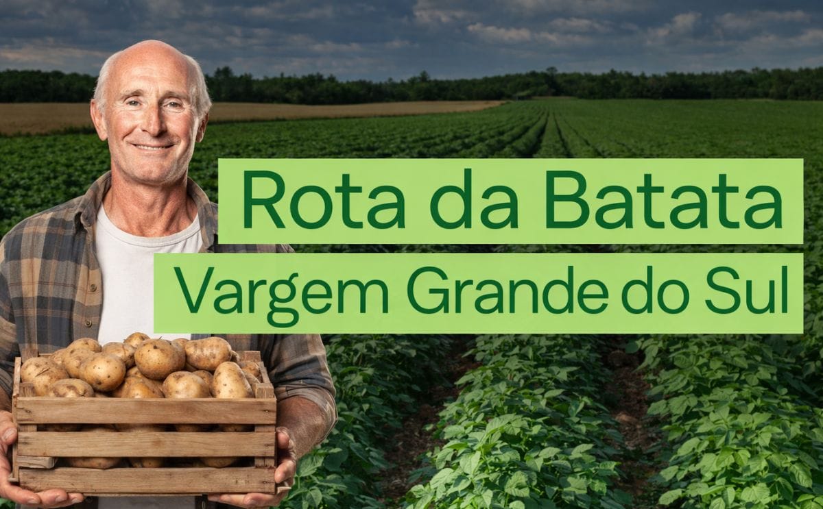 La Ruta de la Papa – Edición Vargem Grande do Sul reunirá a productores, investigadores y analistas para impulsar la innovación, el análisis de mercado y las mejores prácticas en el sector de la papa en Brasil.