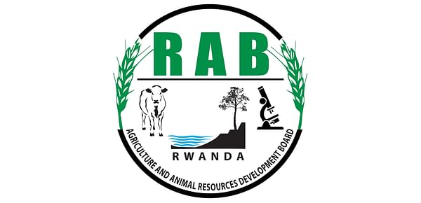 Rwanda Agriculture Board (RAB)