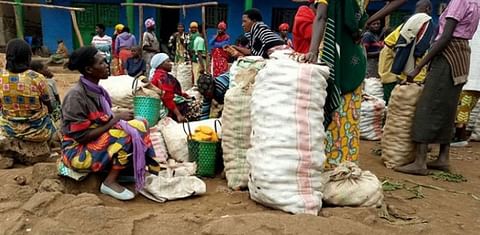 Farmers in Rwanda are looking for better potato storage technology