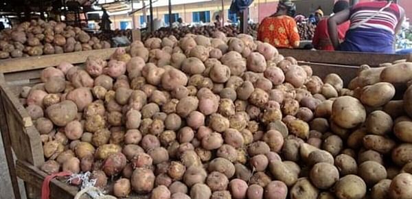 Potato market in Rwanda (Musanze); Courtesy Rwanda New Times