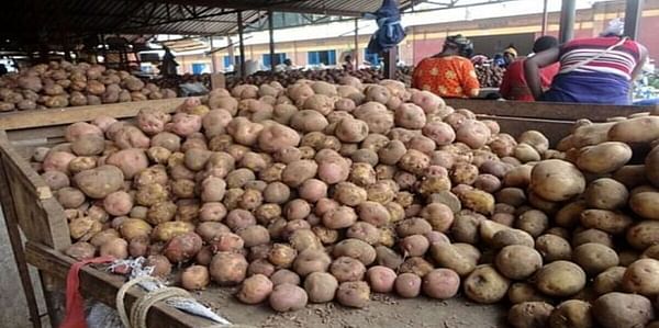 Potato market in Rwanda (Musanze); Courtesy Rwanda New Times