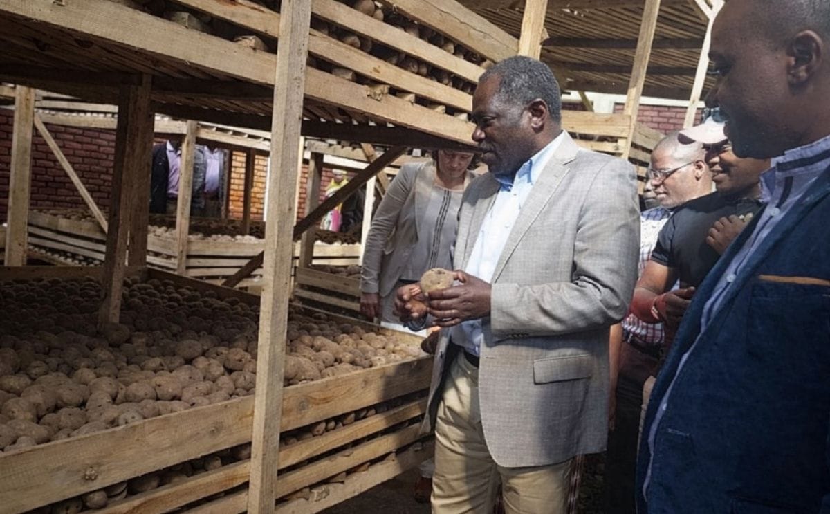 In Rwanda, the State minister of Agriculture Fulgence Ngengiyumva visits one of the seed potato warehouses in the Northern Province.
