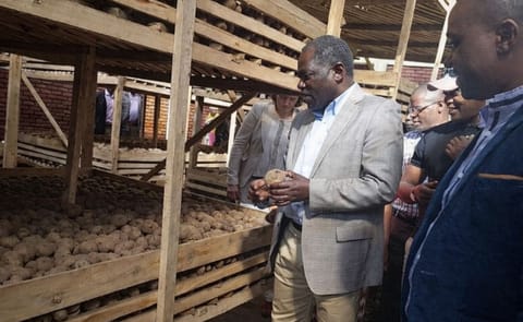 In Rwanda, the State minister of Agriculture Fulgence Ngengiyumva visits one of the seed potato warehouses in the Northern Province. In Rwanda, the State minister of Agriculture Fulgence Ngengiyumva visits one of the seed potato warehouses in the Northern Province.
