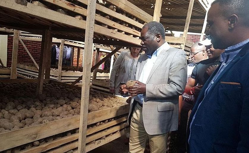 In Rwanda, the State minister of Agriculture Fulgence Ngengiyumva visits one of the seed potato warehouses in the Northern Province. 