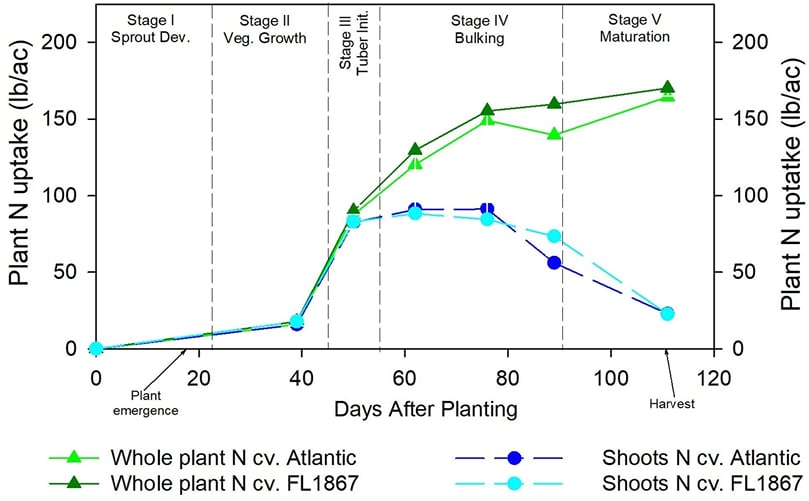 Graph showing nitrogen uptake patterns in potato plants over the growing season Graph showing nitrogen uptake patterns in potato plants over the growing season