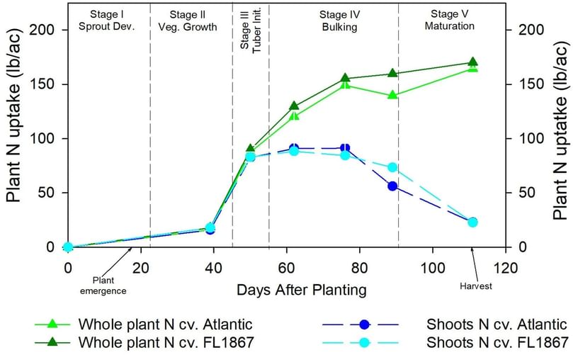 Graph showing nitrogen uptake patterns in potato plants over the growing season