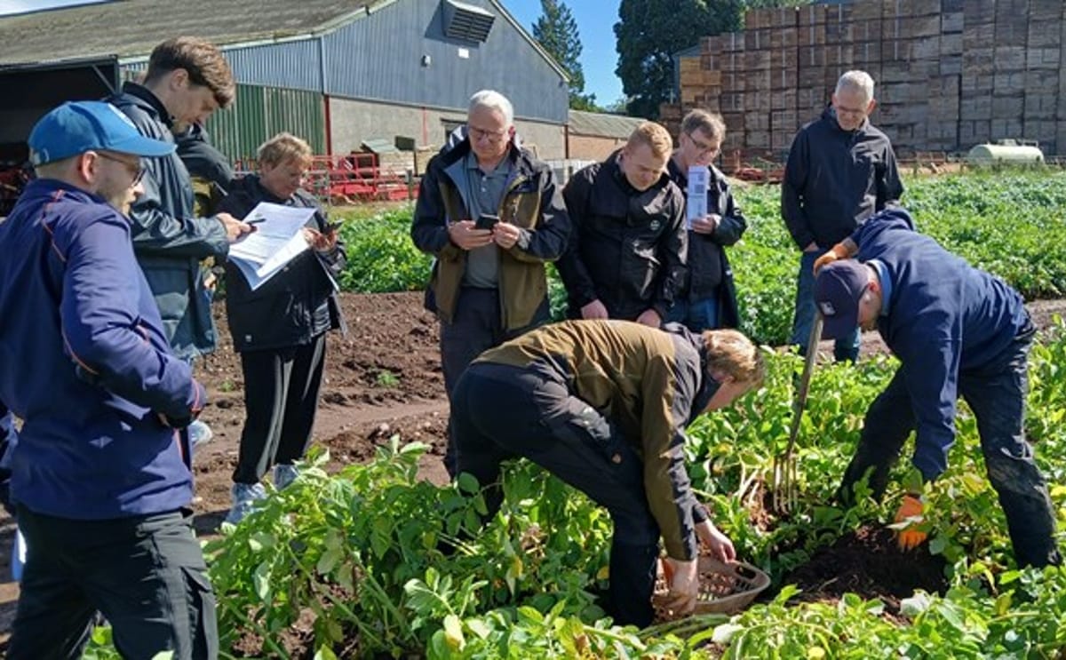 Growers and consultants examine potato crops during a field session ahead of the 2026 SACAPP conference in Dundee.