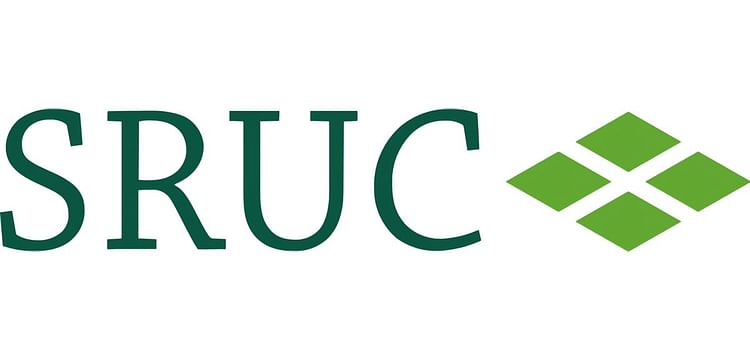 SAC Consulting SAC Consulting
