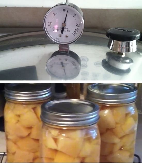 Canning potatoes requires a pressure canner (Courtesy: Outdoor guy)