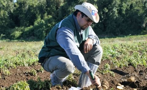 Francisco Briones, Director Regional del Servicio Agrícola y Ganadero (SAG) en la región de Los Lagos. Francisco Briones, Director Regional del Servicio Agrícola y Ganadero (SAG) en la región de Los Lagos.