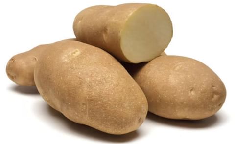 SAGE RUSSET SAGE RUSSET