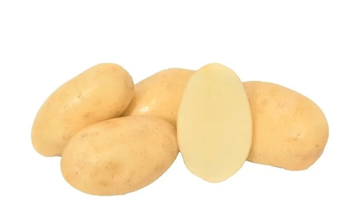 SAHARA SAHARA
