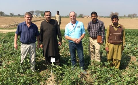 Potato Specialists from Salt Farm Texel (The Netherlands) are testing promising salt tolerant potatoes in Pakistan since 2014 Potato Specialists from Salt Farm Texel (The Netherlands) are testing promising salt tolerant potatoes in Pakistan since 2014