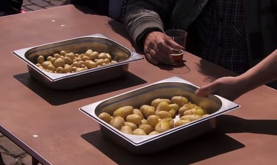 The first harvest of an experiment with salt water potato farming on Texel (2013)
