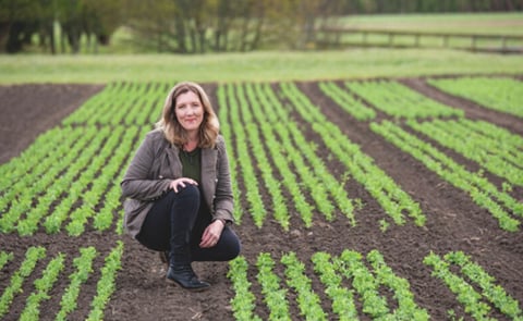 Samantha Baldwin headed up the team delivering Crop 78, the higher quality frying potato becoming popular with processors Samantha Baldwin headed up the team delivering Crop 78, the higher quality frying potato becoming popular with processors