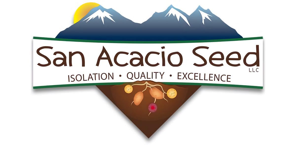 San Acacio Seed