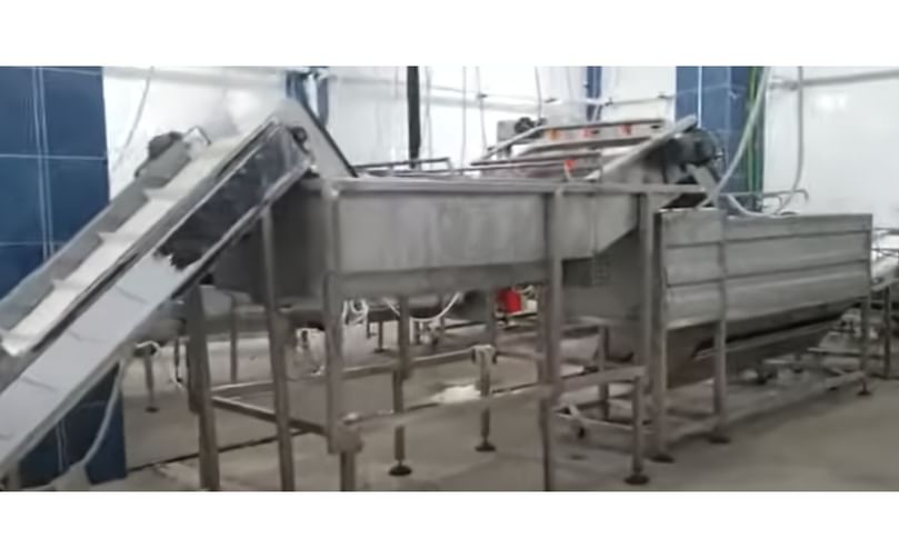 Sanam Engineering Industries french fries line with IQF Sanam Engineering Industries french fries line with IQF