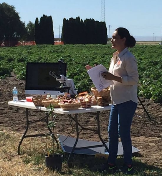 Sapinder Bali explains the OSU HAREC Plant Breeding Program "Development of molecular markers linked to Columbia Root Knot Nematode (CRNK) Resistance in Potato" during the annual potato field day at OSU Hermiston Agricultural Research and Extension Center (Courtesy: OSU Hermiston Agricultural Research and Extension Center / Facebook)
Sapinder Bali explains the OSU HAREC Plant Breeding Program "Development of molecular markers linked to Columbia Root Knot Nematode (CRNK) Resistance in Potato" during the annual potato field day at OSU Hermiston Agricultural Research and Extension Center (Courtesy: OSU Hermiston Agricultural Research and Extension Center / Facebook)