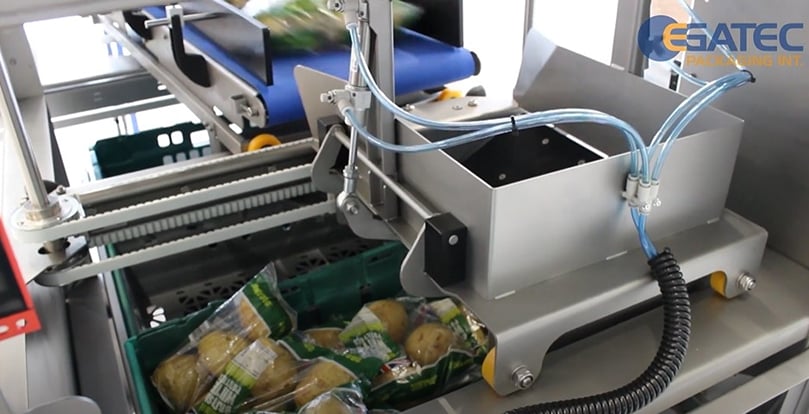 Sarco Packaging Egatec BD-606 potato case packs Sarco Packaging Egatec BD-606 potato case packs