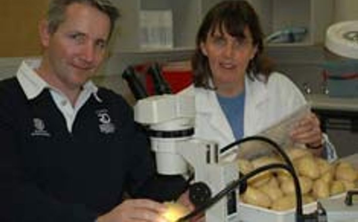 SARDI Plant and Soil Health Scientists Robin Harding and Kathy Ophel Keller worked to develop the DNA diagnostic diseases for potatoes SARDI Plant and Soil Health Scientists Robin Harding and Kathy Ophel Keller worked to develop the DNA diagnostic diseases for potatoes