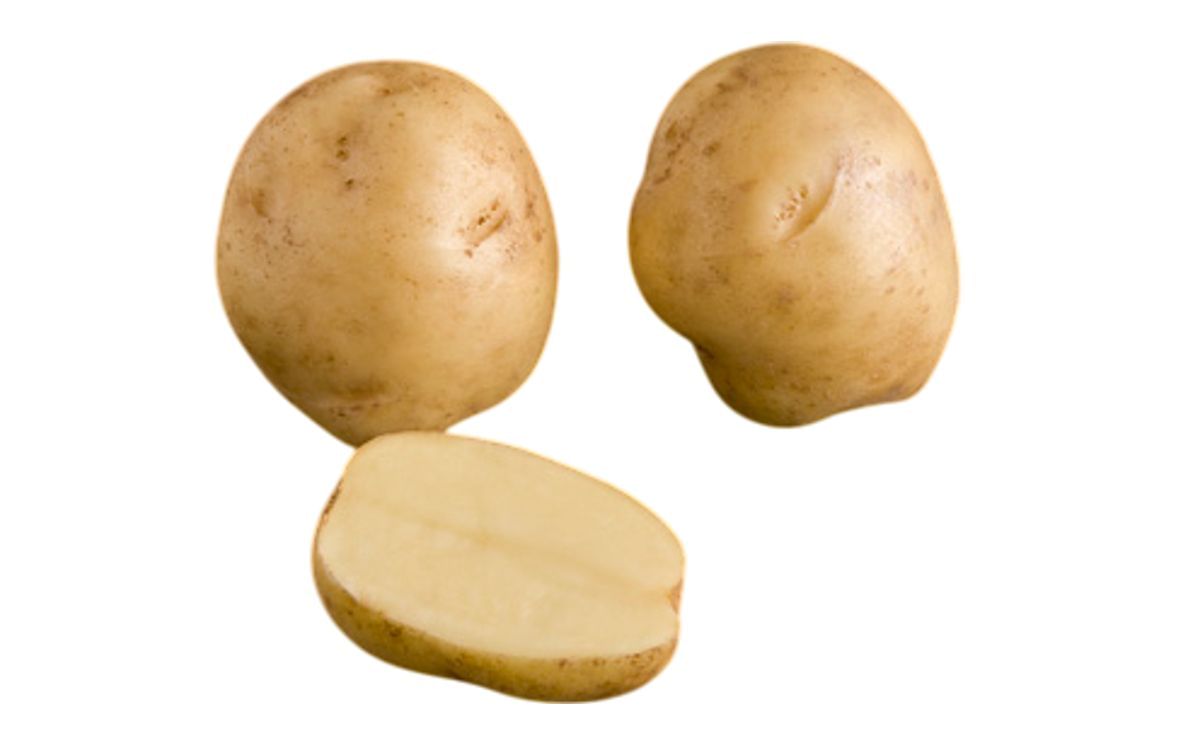 Unity One International Sassy