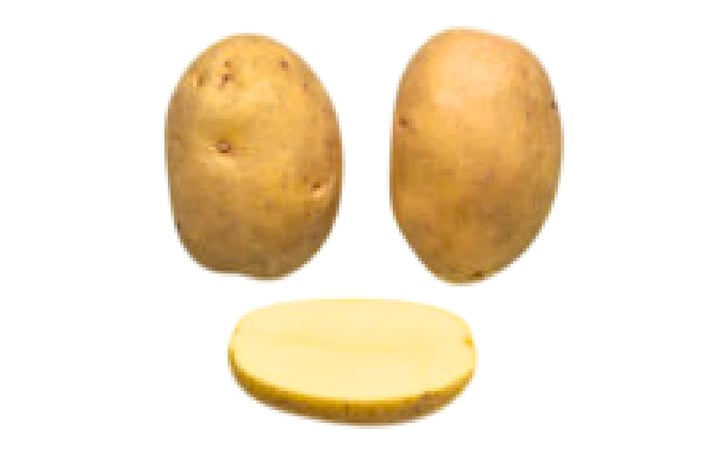 SATIS SATIS