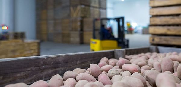 Save energy costs in potato storage with a CO2 extractor