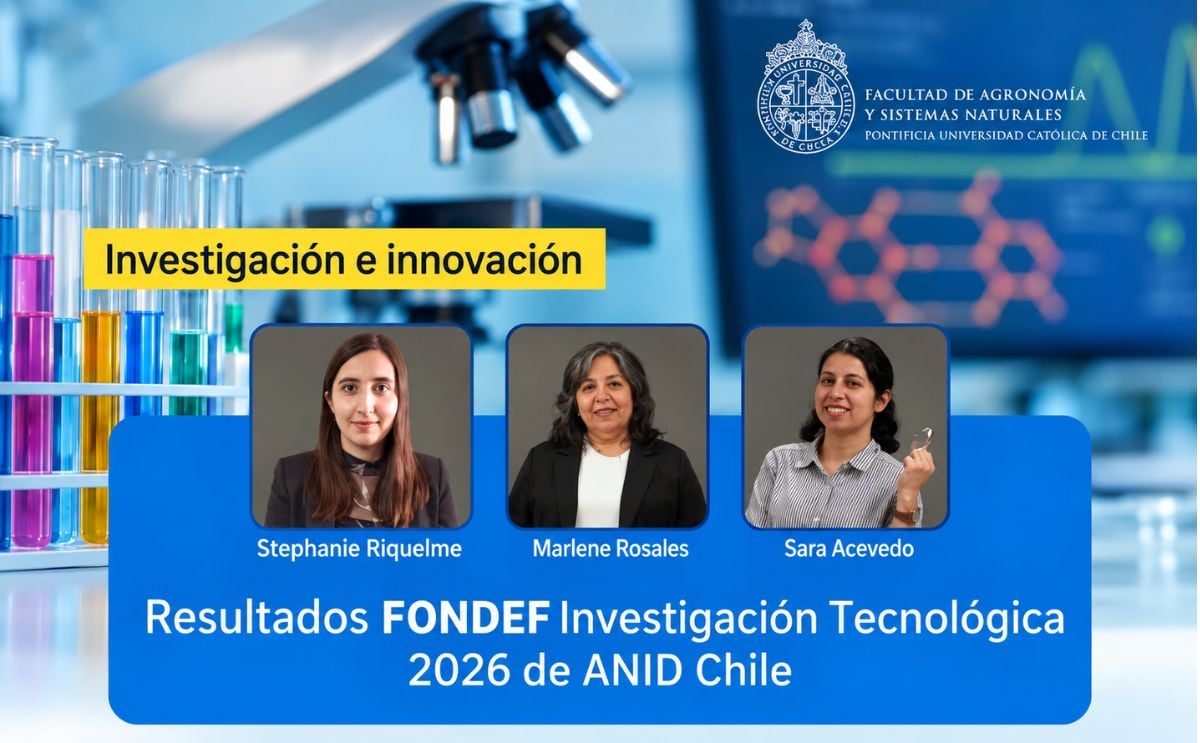 SCAB-ID 2.0 utiliza qPCR multiplex para detectar y diferenciar simultáneamente la sarna polvorienta y la sarna común en tubérculos de papa.