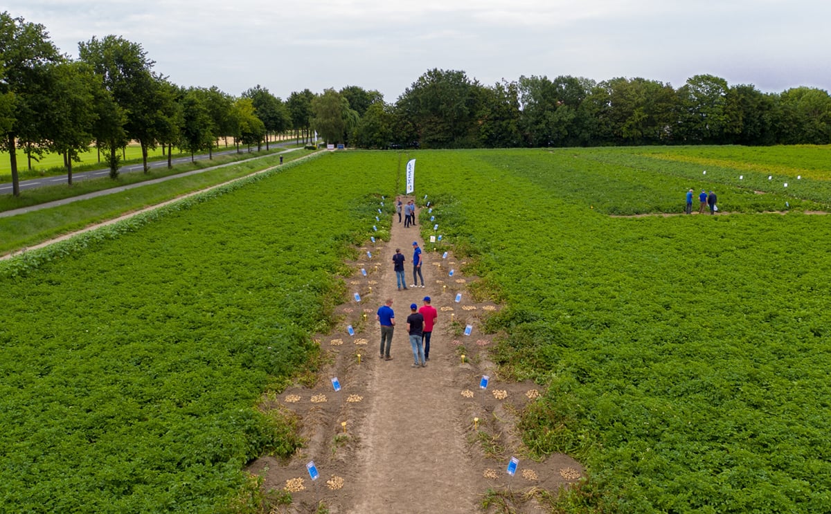 Schaap Holland: NAO pavilion at Potato Europe in France is a magnet that brings potato professionals together Schaap Holland: NAO pavilion at Potato Europe in France is a magnet that brings potato professionals together