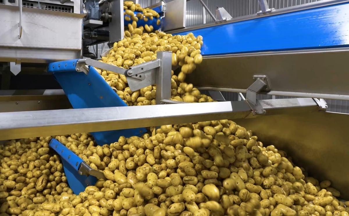 Foodera Technologies will introduce its strengthened presence in India at the Global Potato Summit 2026, supporting potato processors with processing lines, service and process optimization