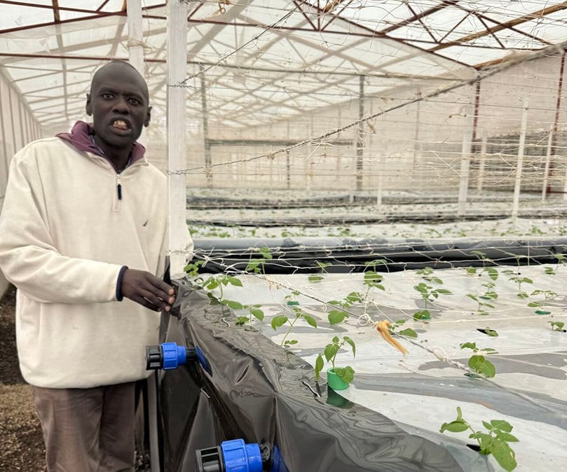Researcher tending to young potato seedlings in a controlled environment to ensure disease resistance and strong growth Researcher tending to young potato seedlings in a controlled environment to ensure disease resistance and strong growth