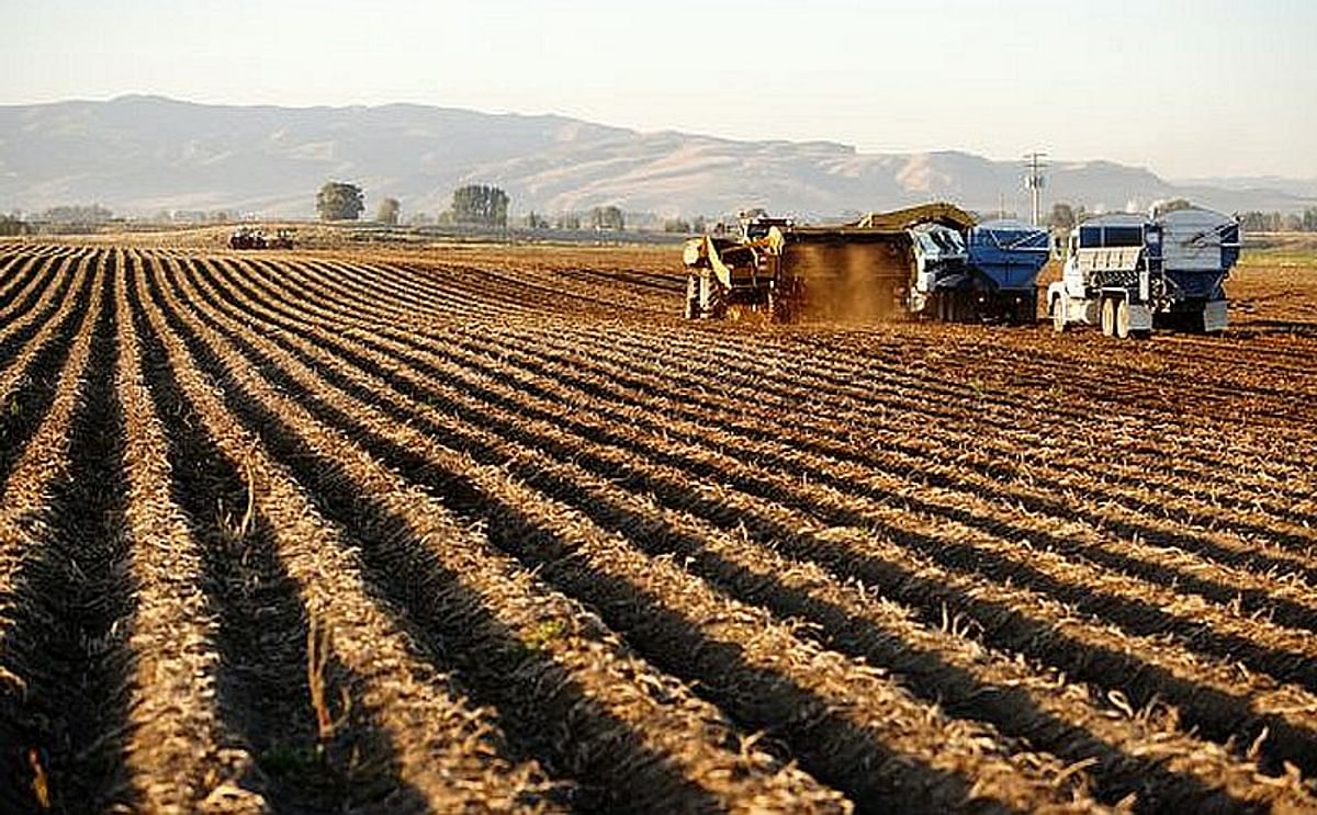 Mounting frustration over potato harvest in Scotland Mounting frustration over potato harvest in Scotland