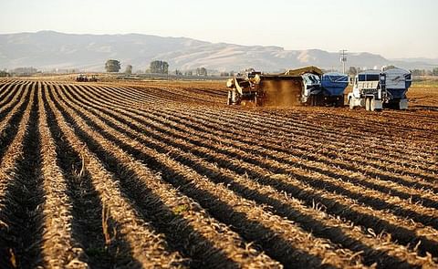 There is a huge contrast in harvest conditions across Scotland There is a huge contrast in harvest conditions across Scotland