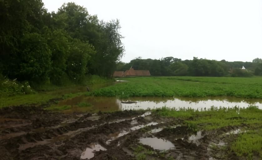 Scottish farmers have faced relentless rain, turning their fields into quagmires and ruining crops (Courtesy: HK Gray)