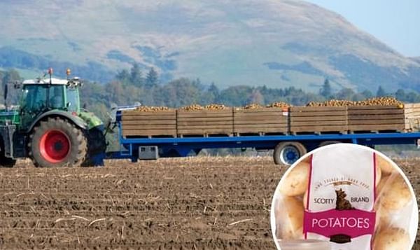 The potato company Scotty Brand saves 27 tons of plastic from its packaging