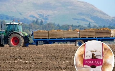 In one year, a Scottish potato company removed almost 27 tons of plastic from its packaging. In one year, a Scottish potato company removed almost 27 tons of plastic from its packaging.
