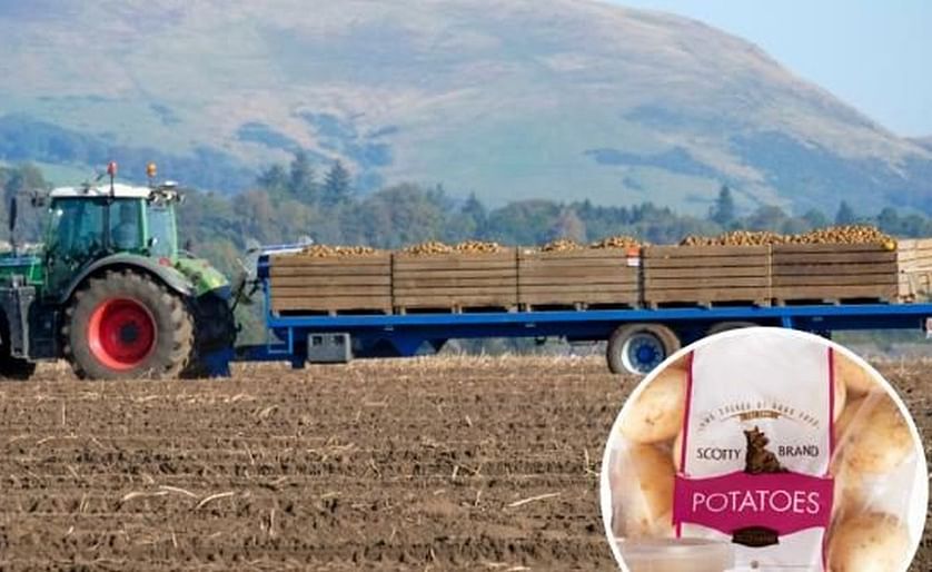 In one year, a Scottish potato company removed almost 27 tons of plastic from its packaging.