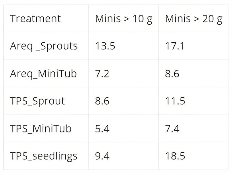 Table 3. Screen house area (m2) needed for sowing 1000 m2 of field if used in field crops different mini tubers weight (over 10 or 20 g)