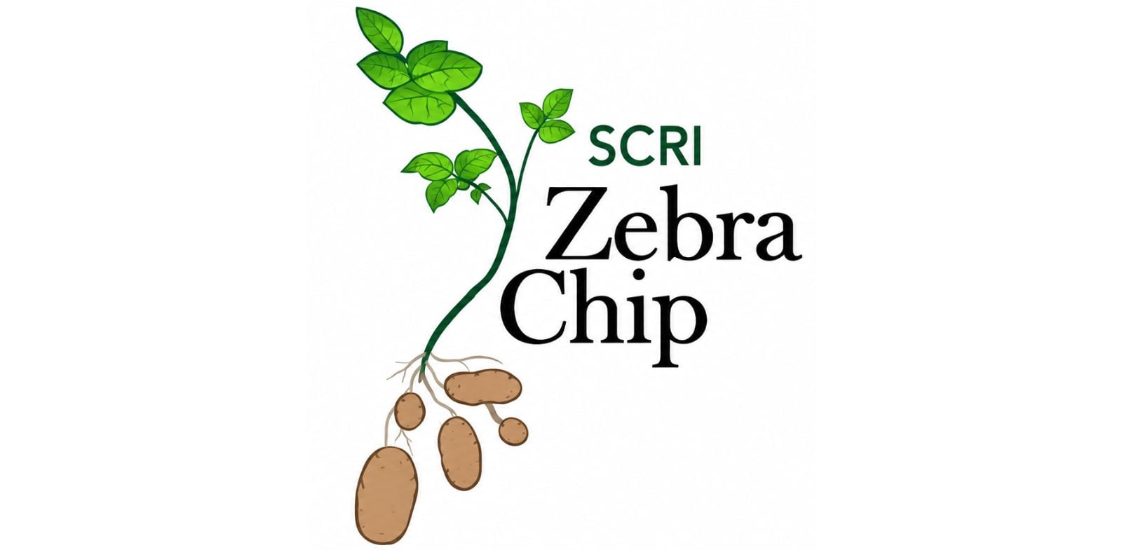 zc-scri
