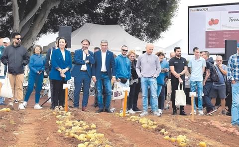 España: se celebró la sexta edición del Papatour en Canarias España: se celebró la sexta edición del Papatour en Canarias