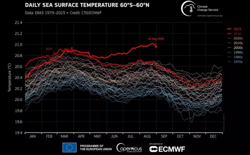 Daily global sea surface temperature (°C) averaged over the 60°S–60°N domain plotted as a time series for each year from 1 January 1979 to 31 August 2023. - C3S/ECMWF