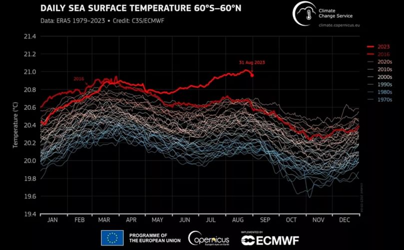 Daily global sea surface temperature (°C) averaged over the 60°S–60°N domain plotted as a time series for each year from 1 January 1979 to 31 August 2023. - C3S/ECMWF