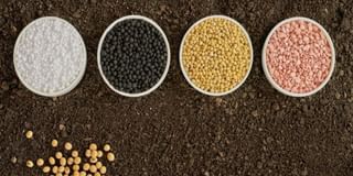 Secondary Nutrient Secondary Nutrient