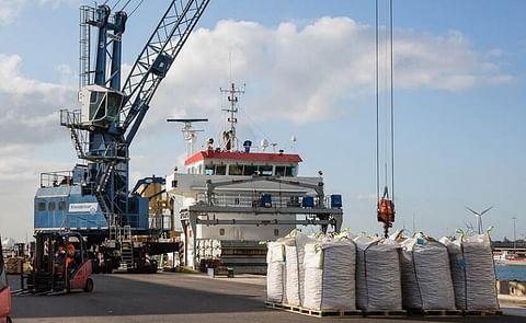 Deadlock: Much concern in EU about seed potato trade with the UK (Courtesy: Seed export from the Netherlands | NAO) Deadlock: Much concern in EU about seed potato trade with the UK (Courtesy: Seed export from the Netherlands | NAO)